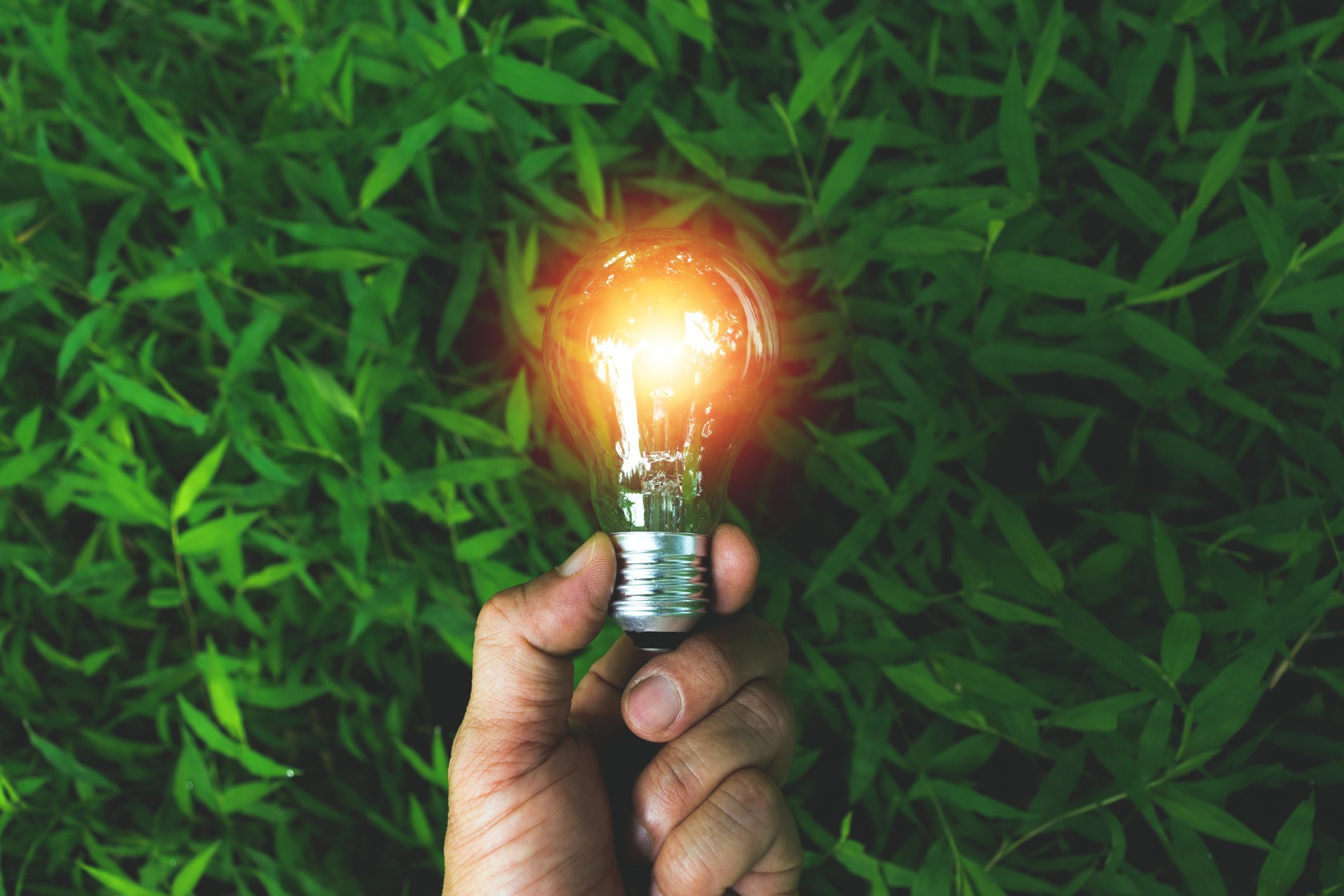 A man's hand holds a lit Edison bulb in front of a background of grass