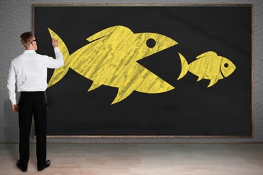 big-fish-little-fish-getty