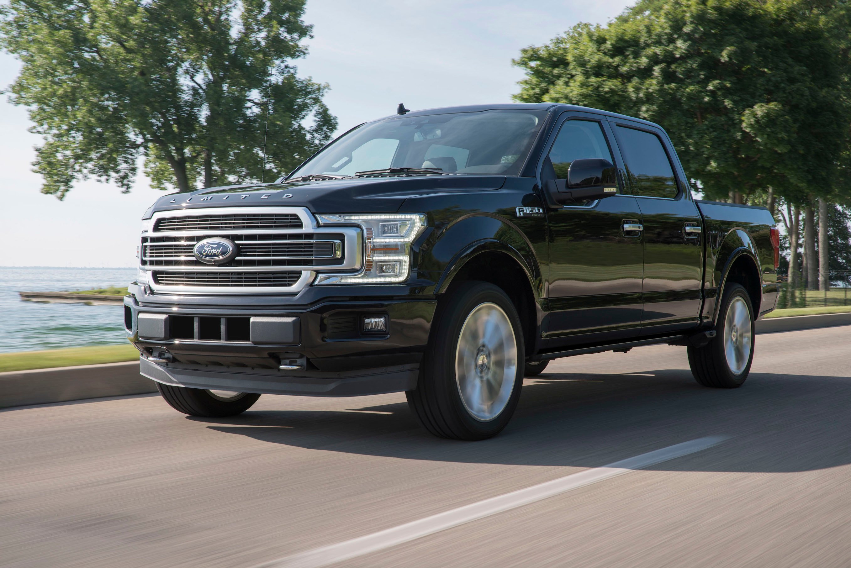 A black 2019 Ford F-150, a full-size pickup truck.