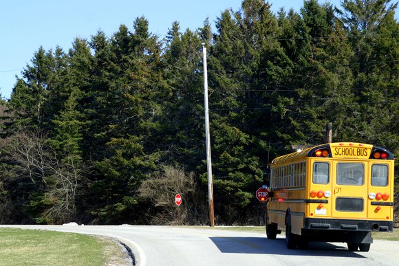 A school bus is on the road.