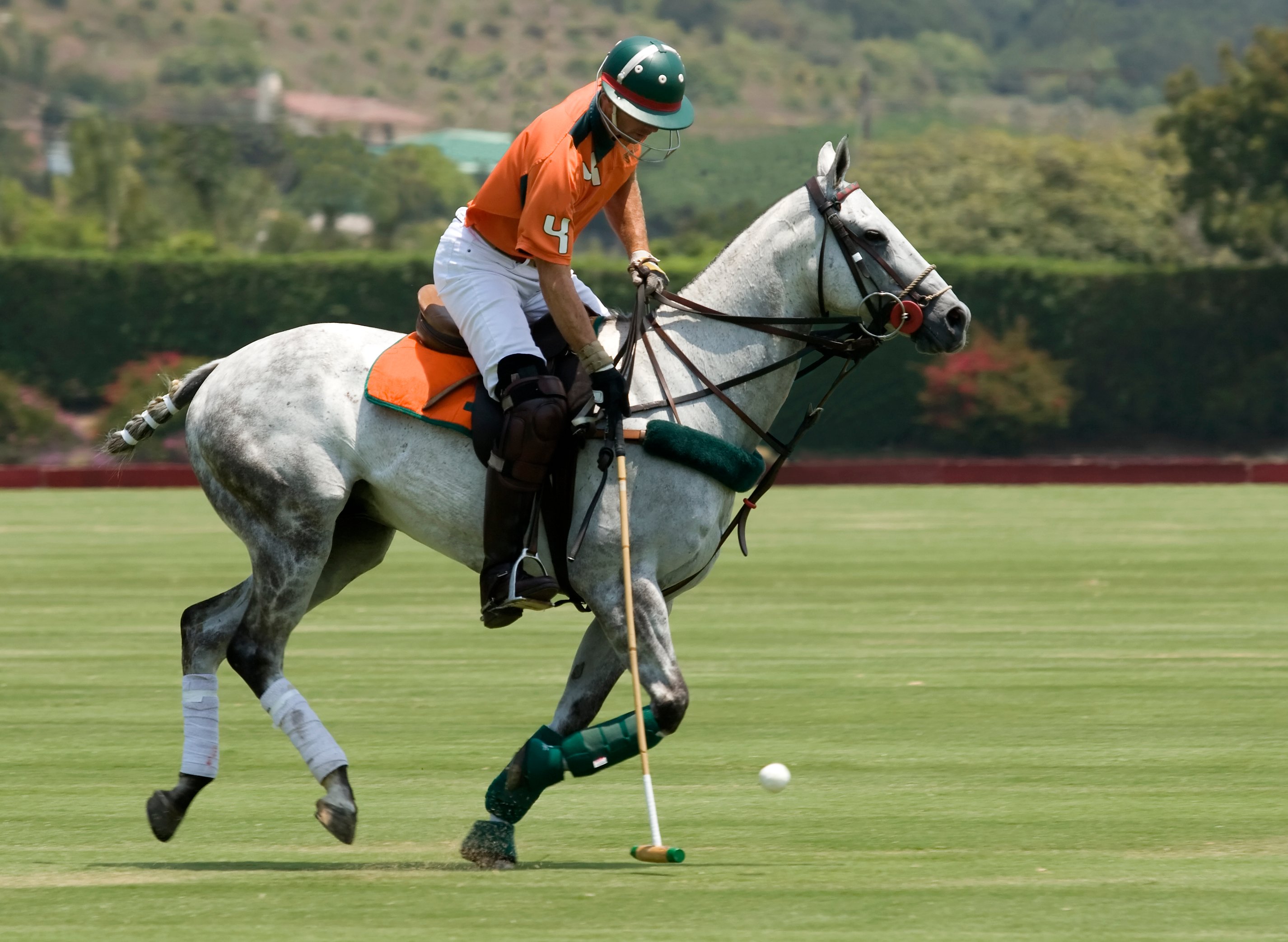 Rider on a polo pony hitting a polo ball