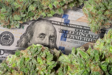 Marijuana buds above a 100 dollar bill