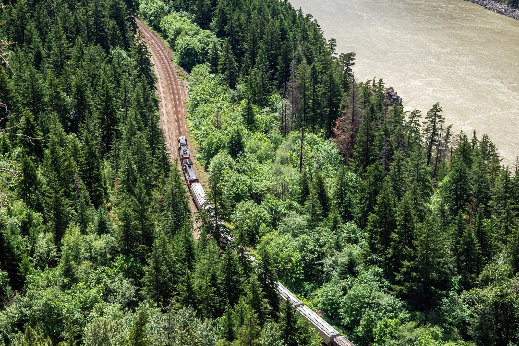 A cargo train proceeds through forested track beside a rolling river.
