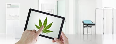 iPad with picture of cannabis leaf