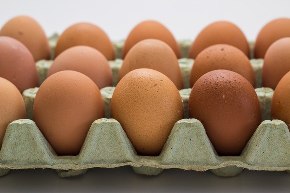 Carton holding 15 brown eggs