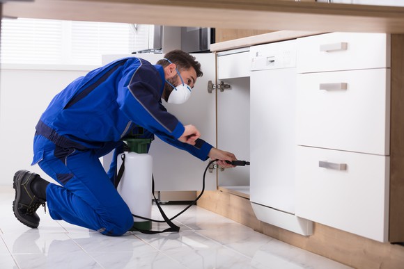 Pest control worker spraying in a house