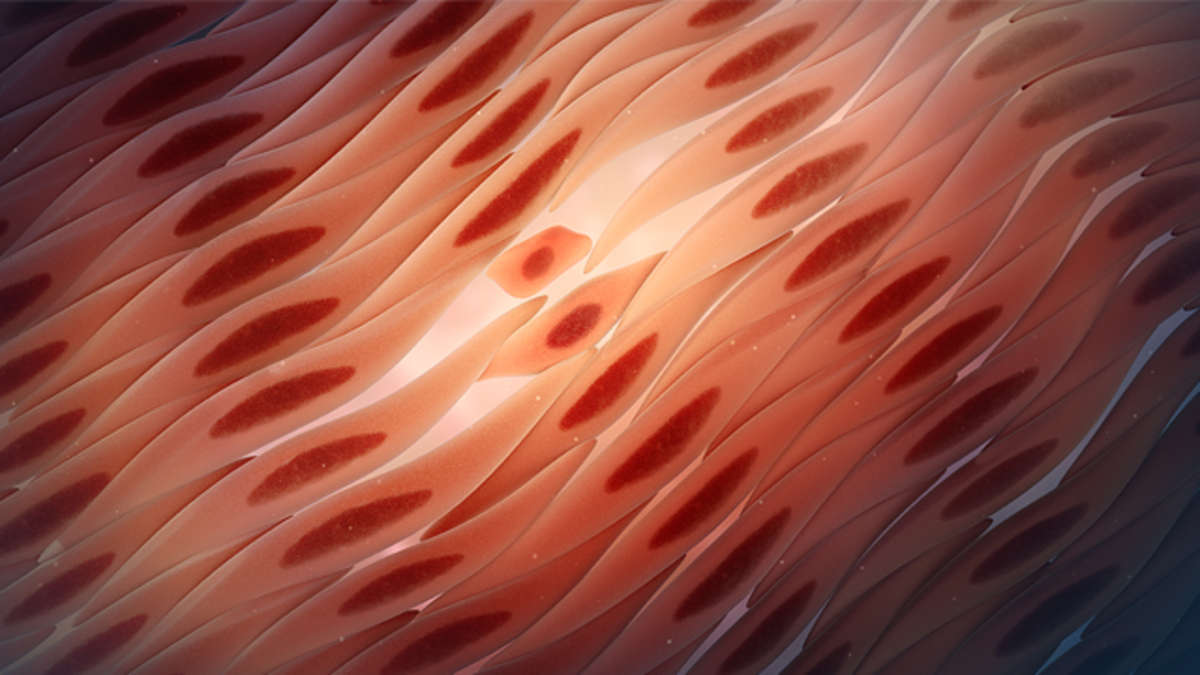 AZN cells