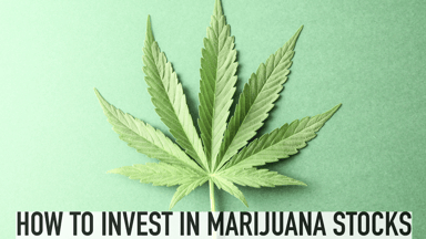 Marijuana-stocks-thumbnail