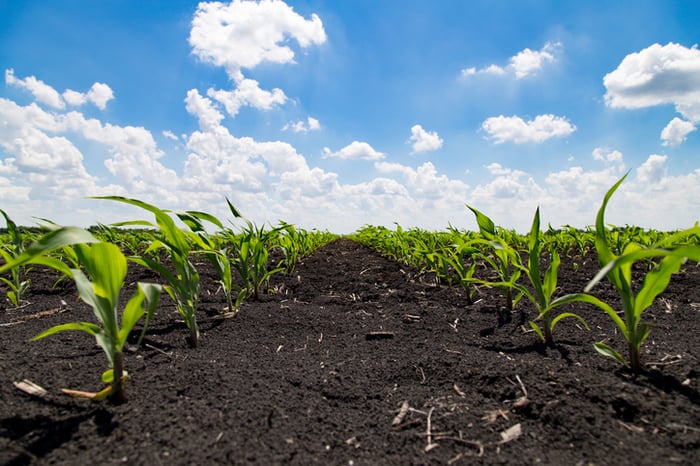 Nutrien Uses Global Fertilizer Strength To Offset Weak U S Planting In Q2 The Motley Fool