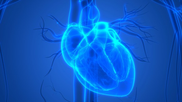 Blue illuminated heart