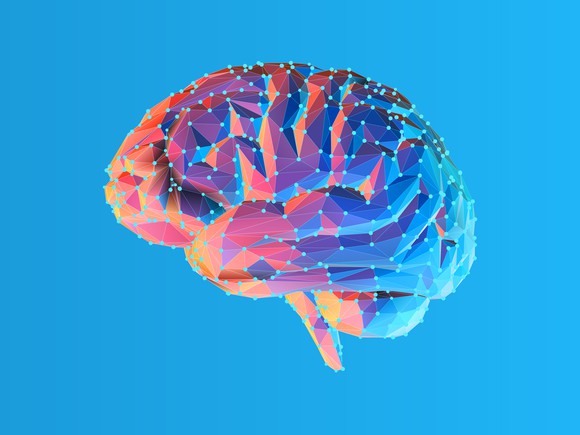 Image of brain on blue background.