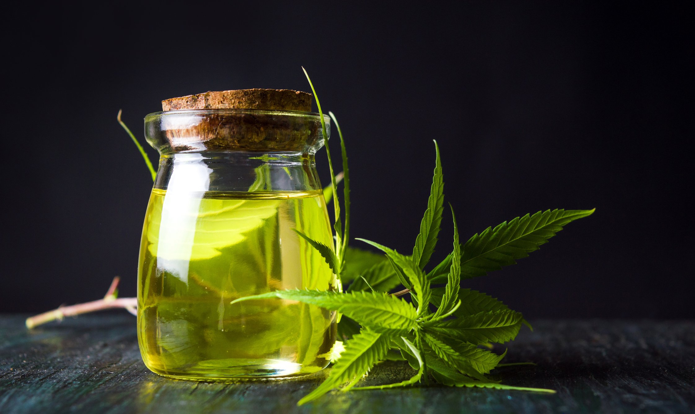 A glass jar containing a greenish oil, with a cutting from a cannabis plant laid next to it