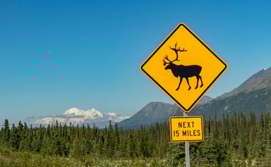 moose sign