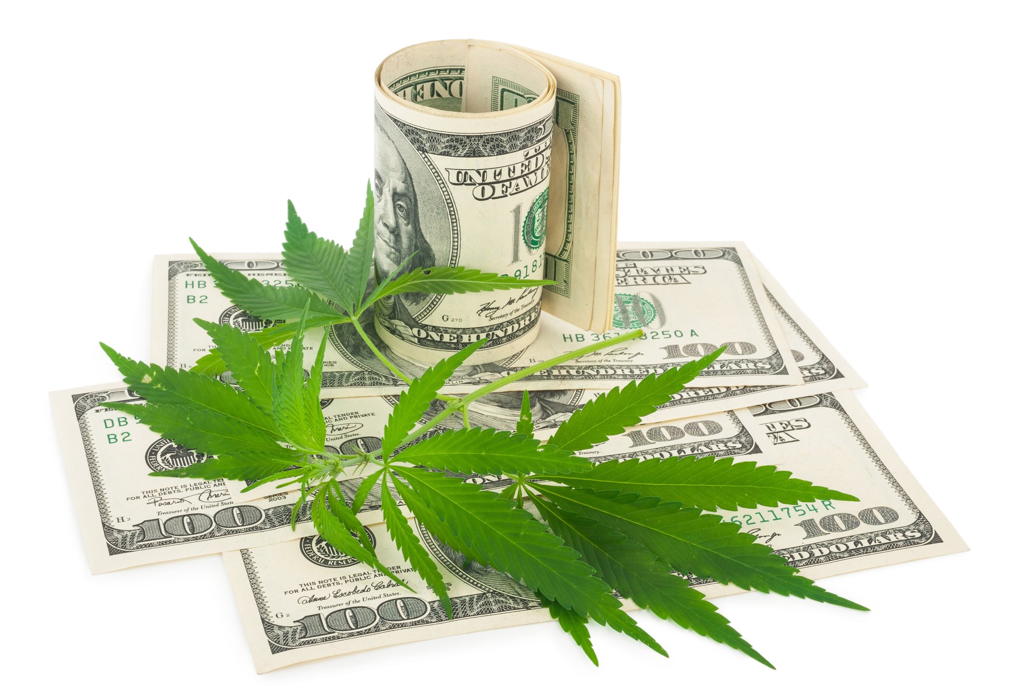 Cannabis leaves on top of one hundred dollar bills.