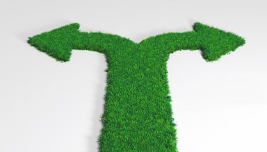Grass carpet with arrows