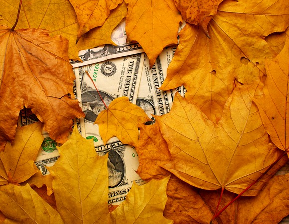 Dollar bills under fallen leaves.