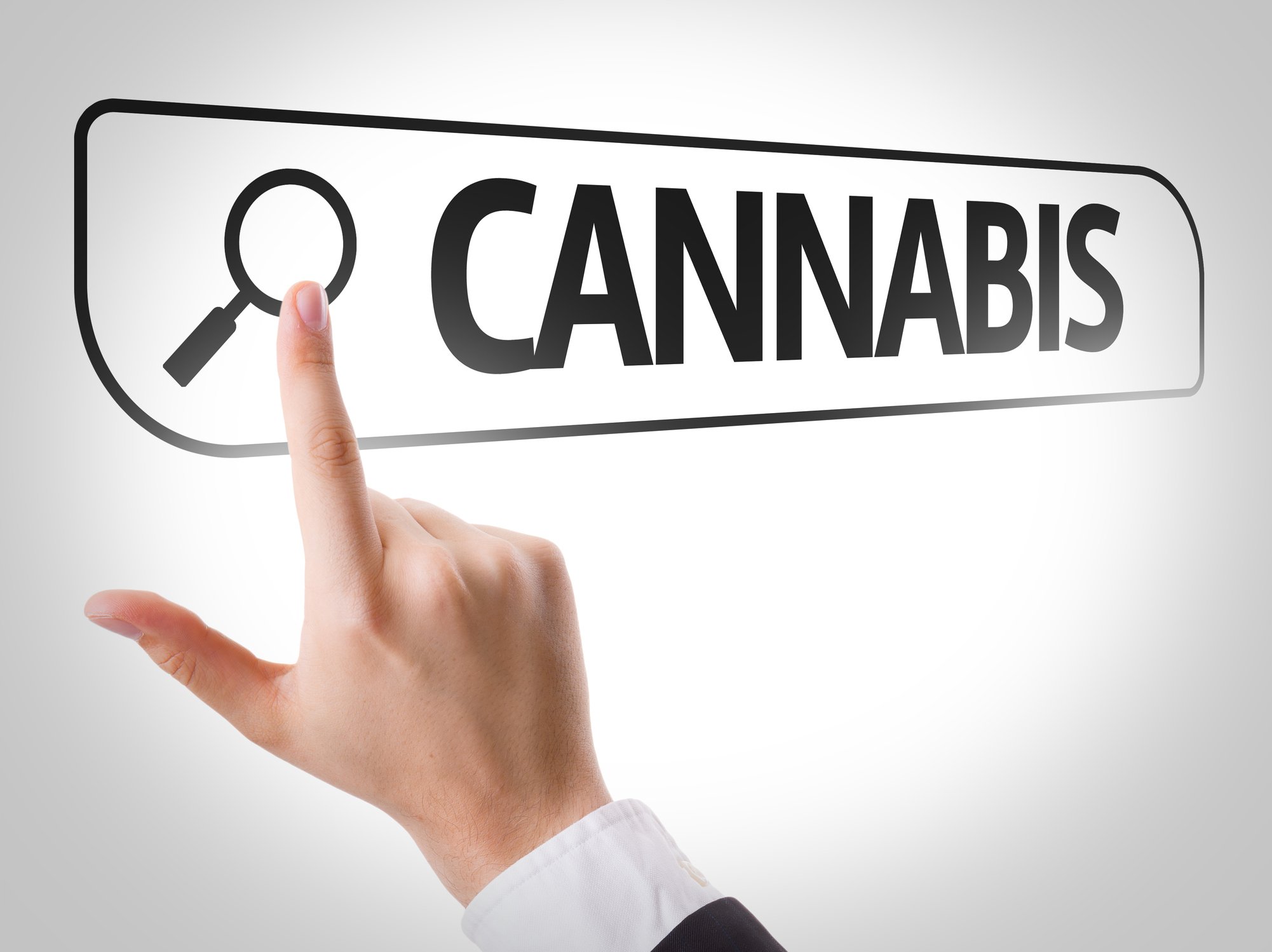 Finger touching image of magnifying glass on a search text box containing the word "cannabis"