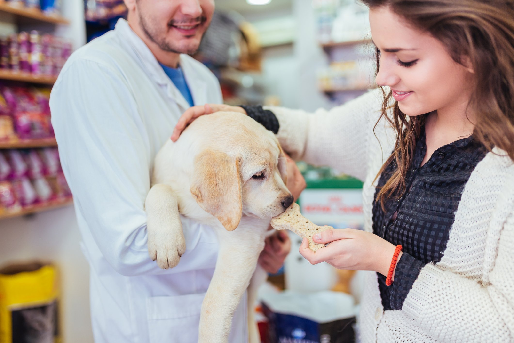 A pet-store veterinarian holds a dog while its owner feeds it a treat.