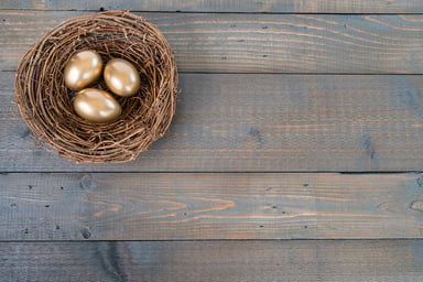 nest_egg_2