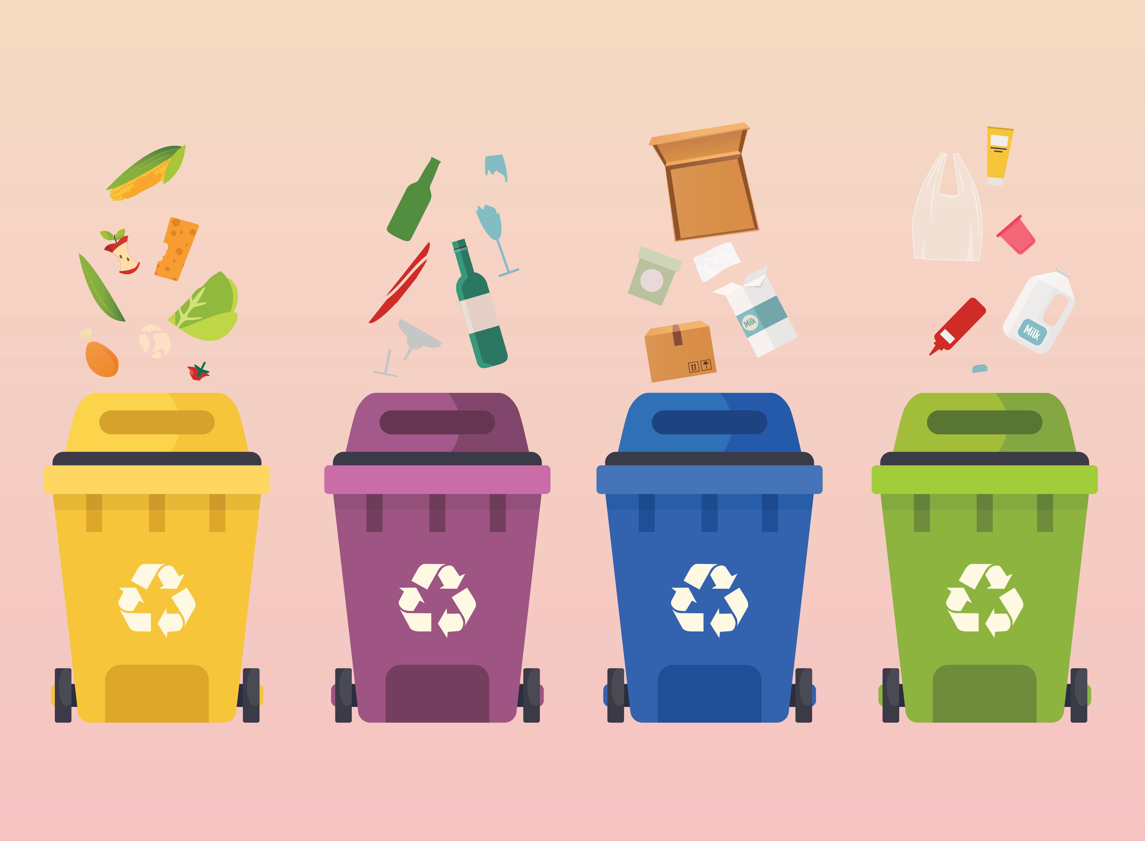 Picture of Recycling Cans with Sorted Garbage