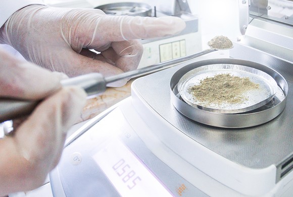 A pair of gloved hands weigh a powdery substance on a scale