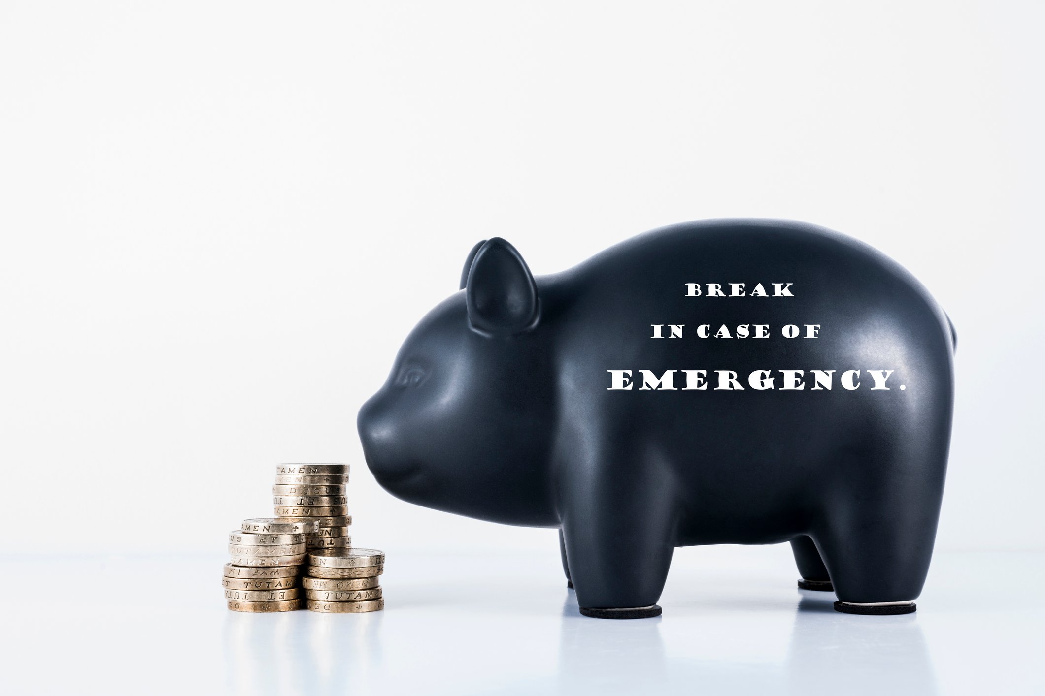 Black pig in front of piles of coins.