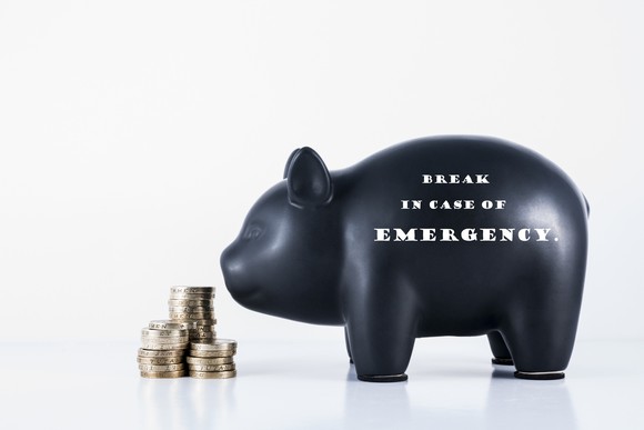 Black pig in front of piles of coins.