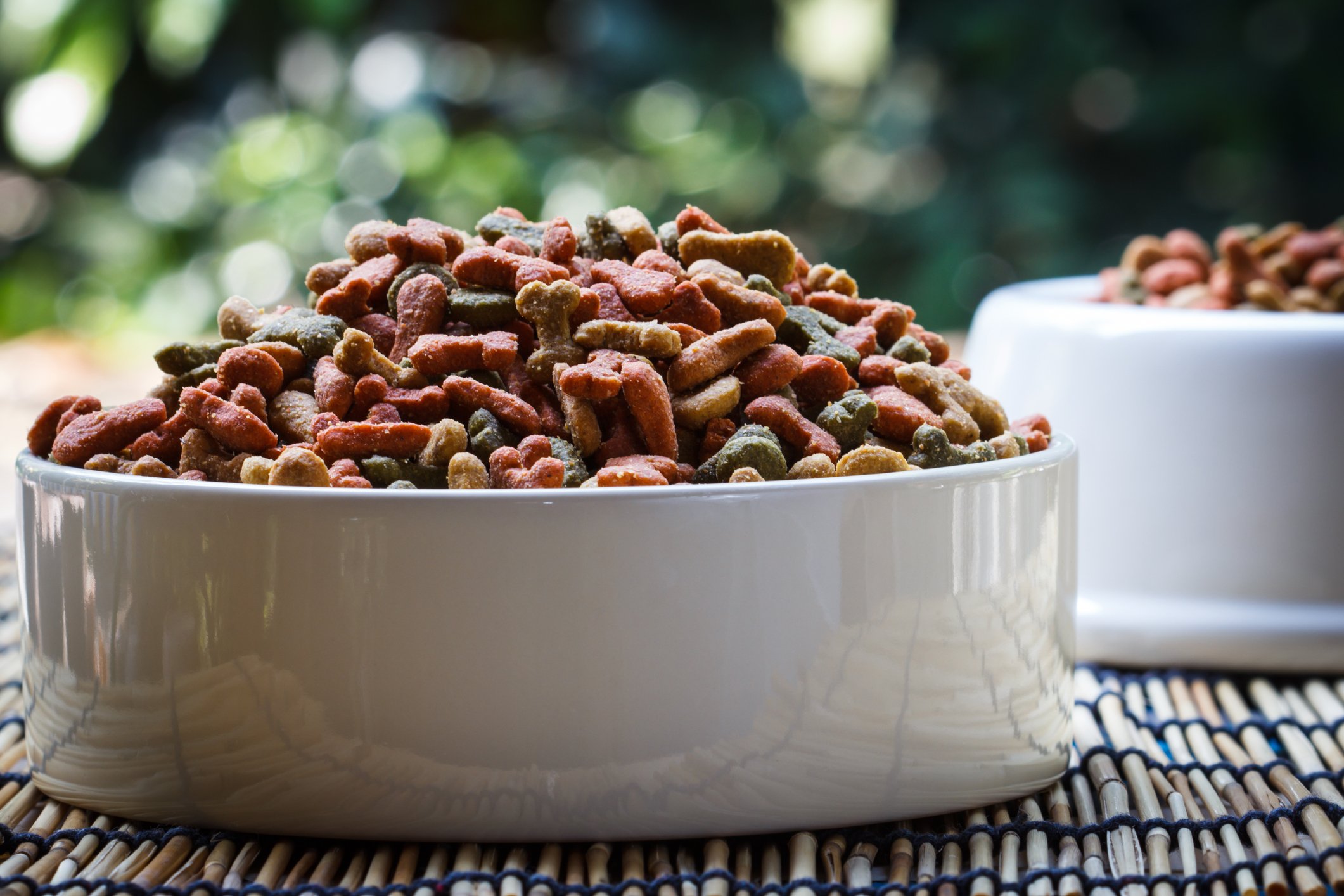 Close-up of colorful dry dog food in a porcelain bowl.
