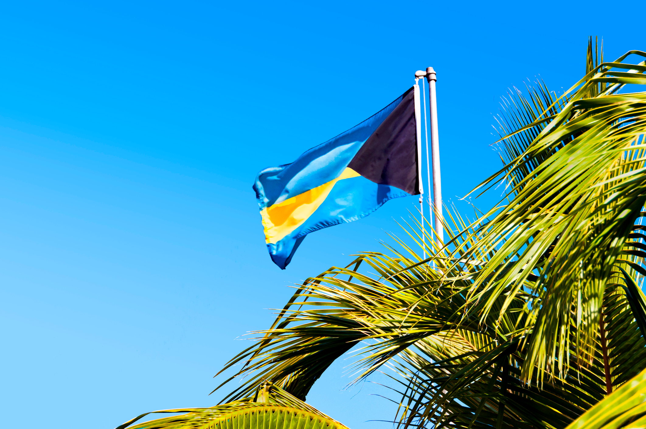 The flag of the Bahamas flutters above palm trees.