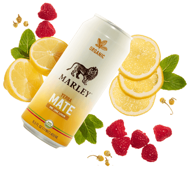 marley mate new age beverage