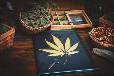 dried cannabis