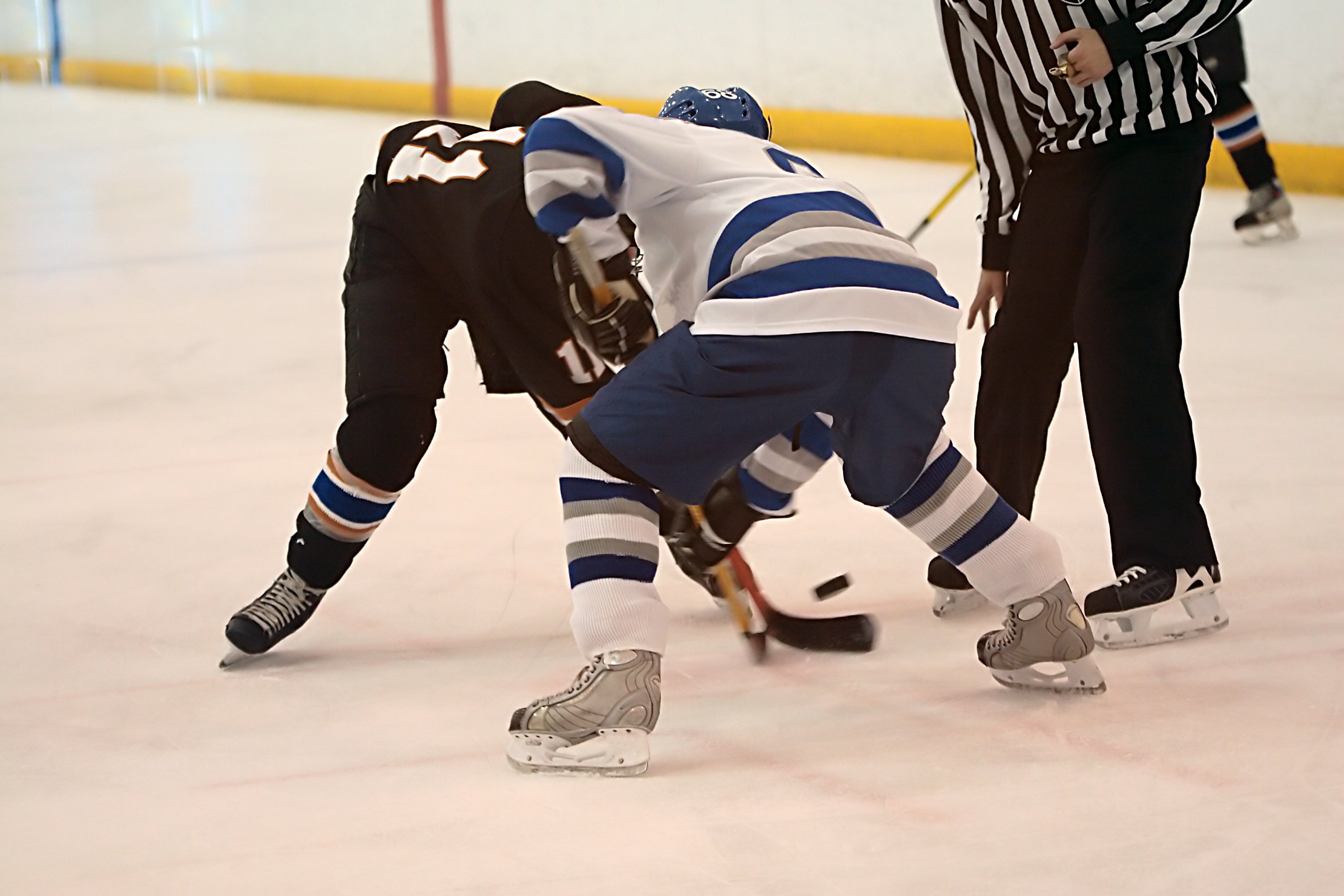 Two hockey players facing off as a referee drops the puck