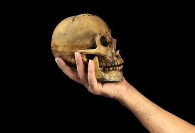 Hand holding a skull a la Yorick