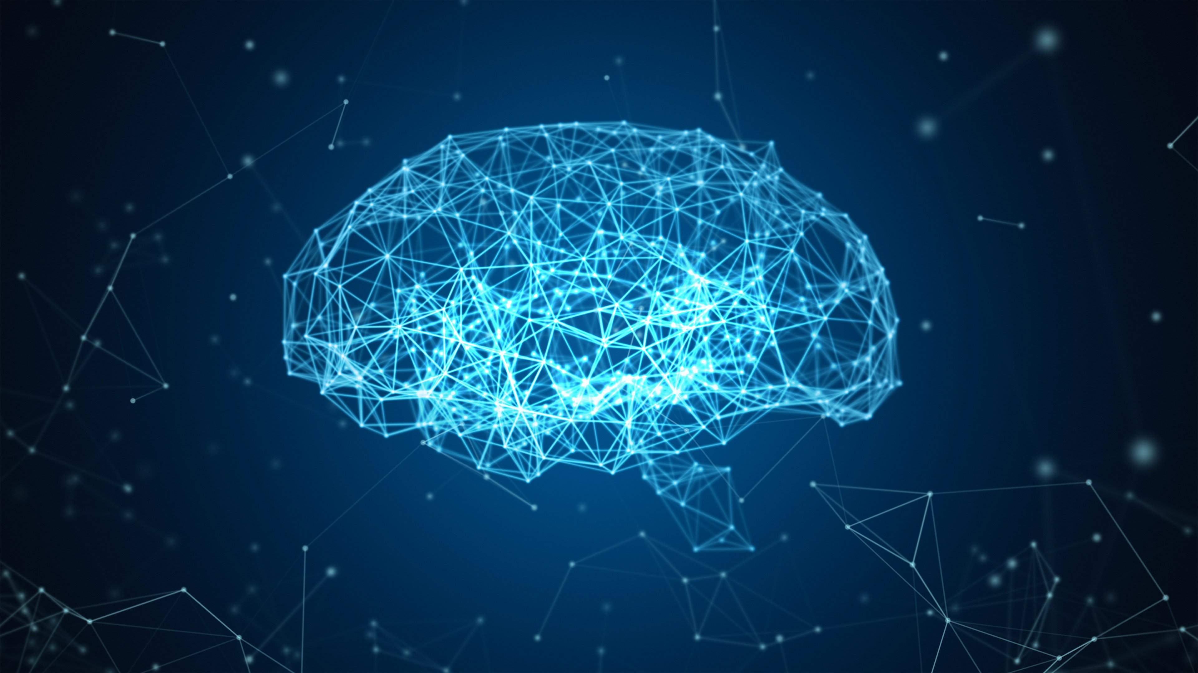 A digital visualization of a human brain.