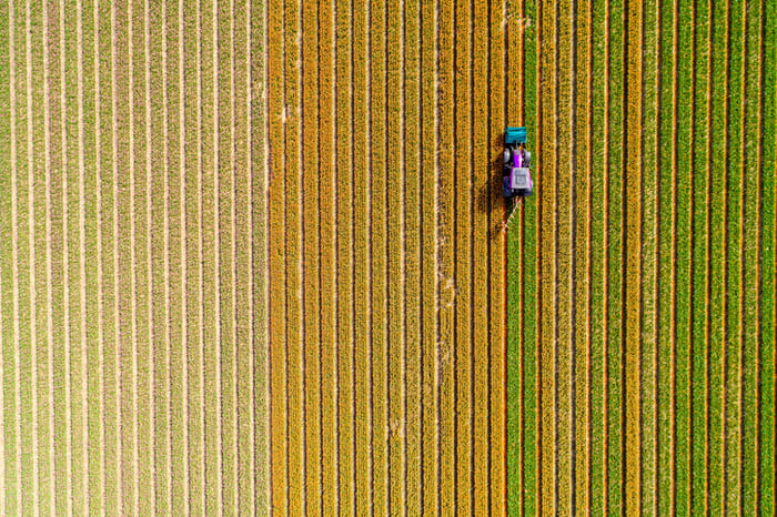 A bird's eye view of a combine in a field.