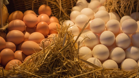 Eggs. Just a bunch of them, in baskets.