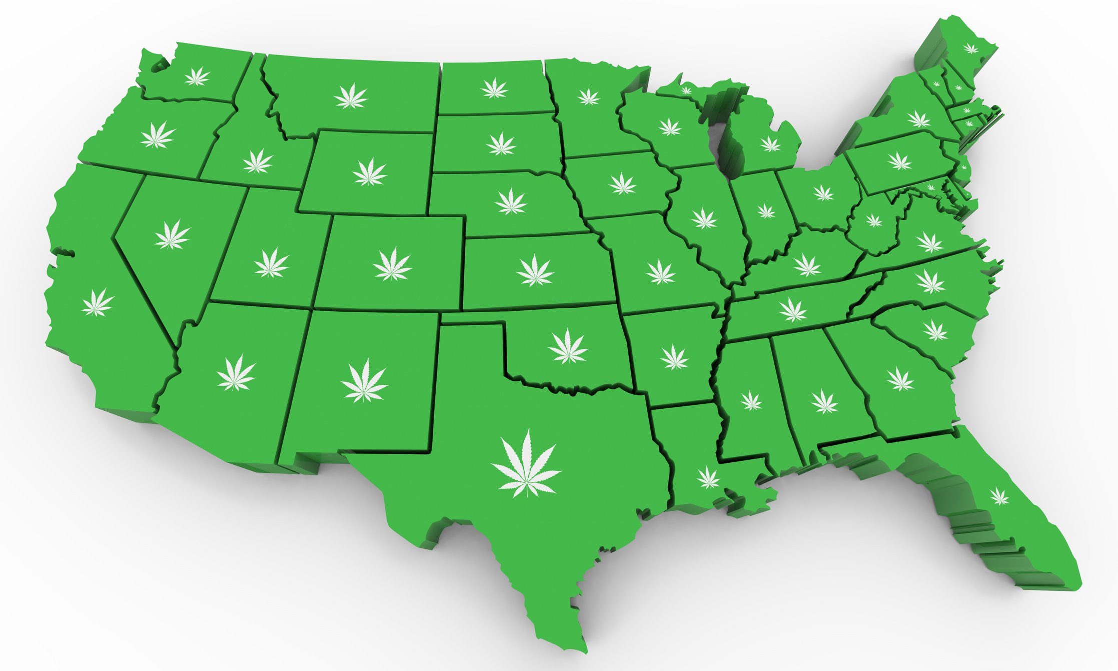 Green U.S. map with a picture of a cannabis leaf on each state.
