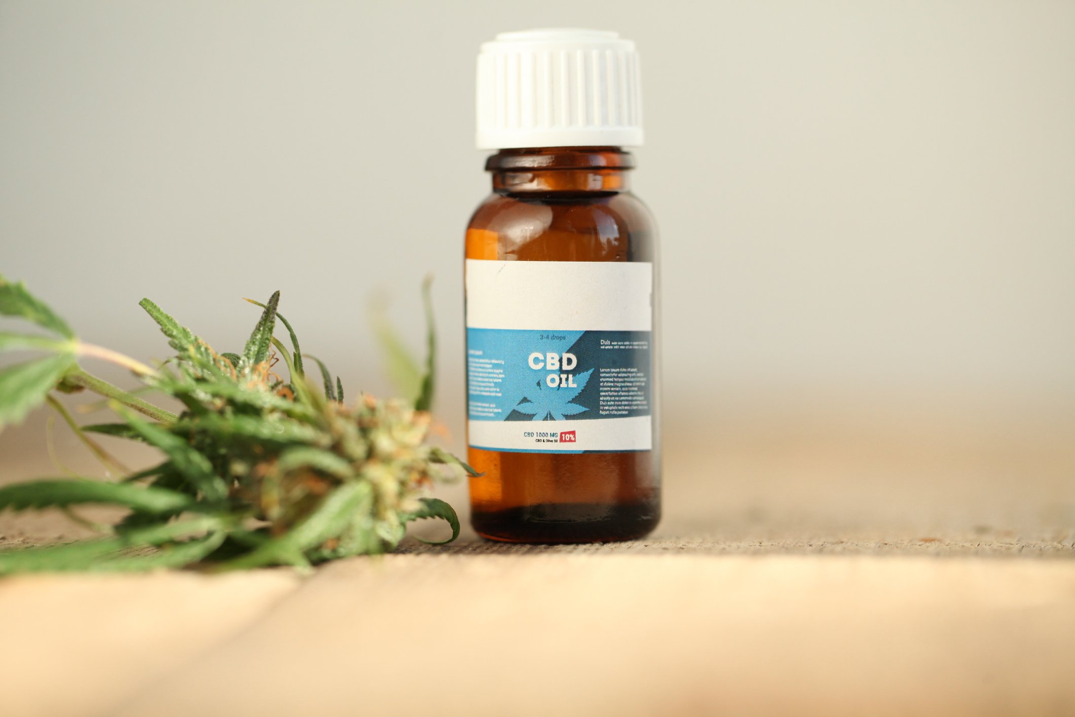 CBD oil bottle next to hemp