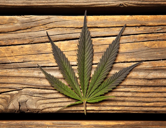 A marijuana leaf atop a beam of wood