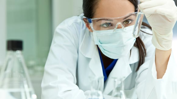 Scientist looks at beaker