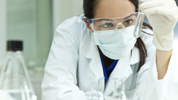 Scientist looks at beaker