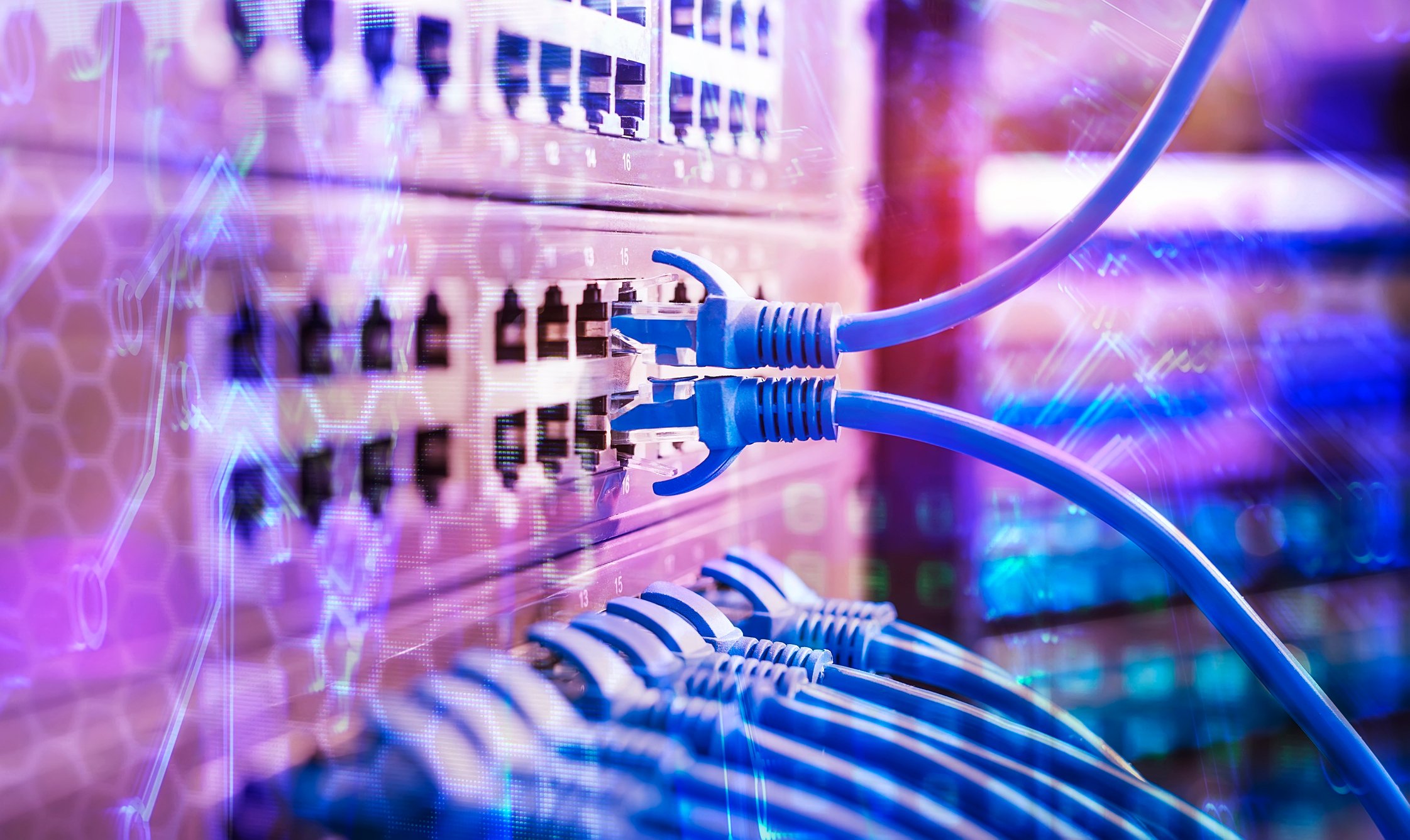 Ethernet cords plugged into the back of a switch on a rack in a data center