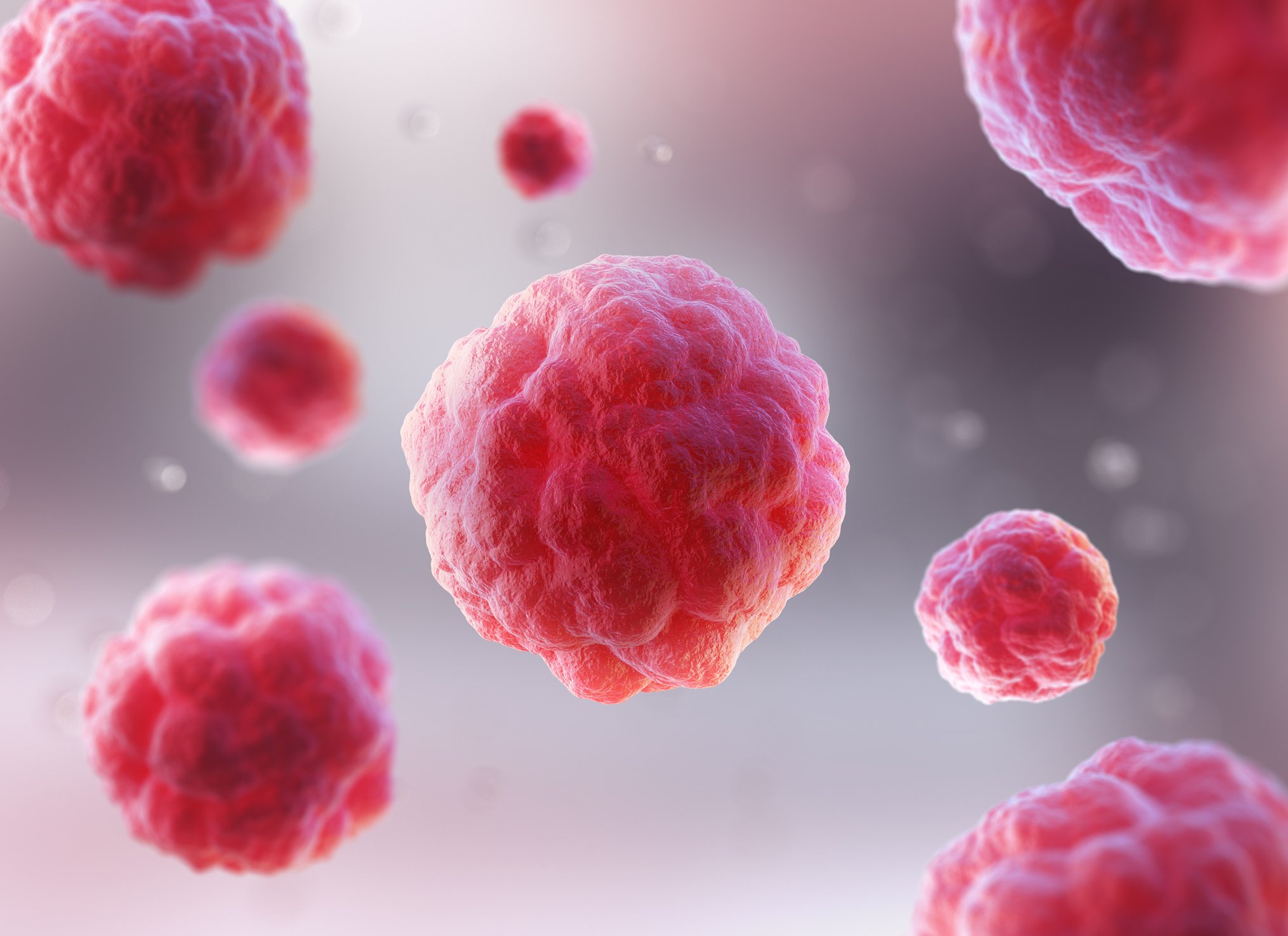 Conceptual microscopic image of human red blood cells floating