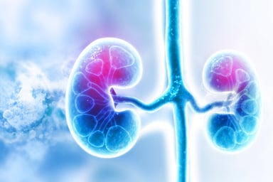 kidneys