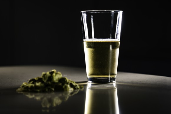Cannabis buds and a glass of beer