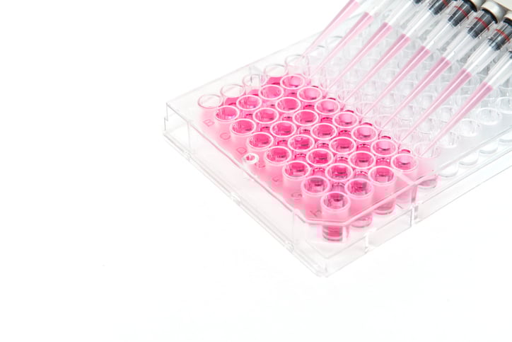 A pipette filling liquids into a 96-well plate.