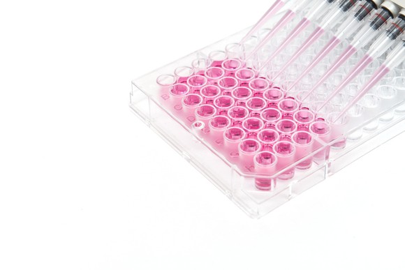 A pipette filling liquids into a 96-well plate.