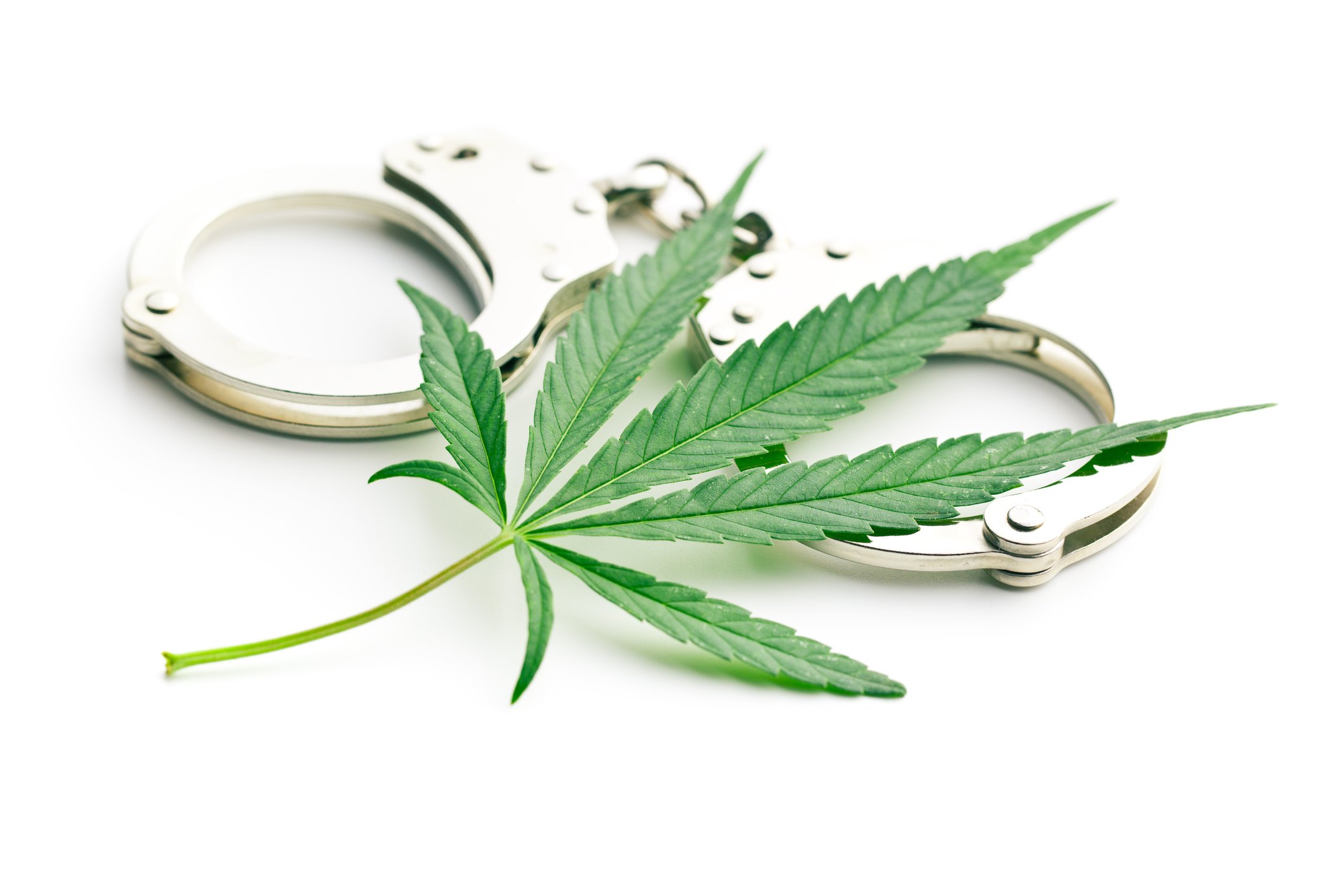 Marijuana leaf on top of a pair of handcuffs.
