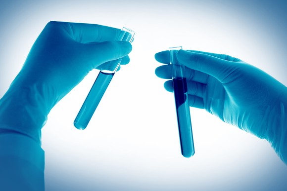 Gloved hands holding test tubes