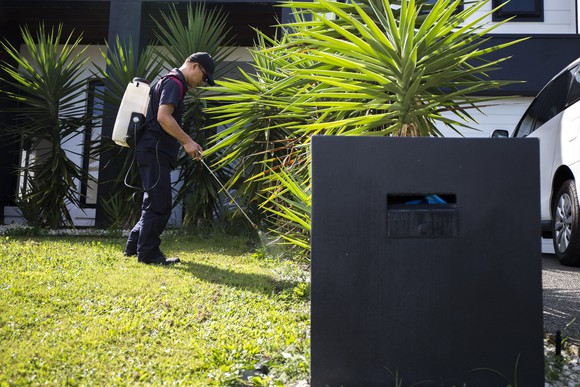 A worker sprays pest control liquid in a yard.